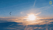 Nat Geo Sun GIF by National Geographic Channel