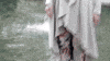 muslim islamic GIF