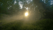 photography smoke GIF by Living Stills