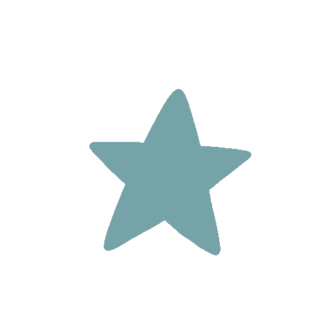 Star Sticker