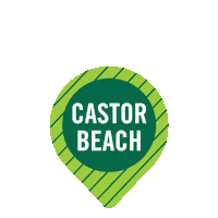 Beach Campus Sticker by University of South Florida