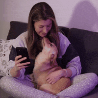 Dog Love GIF