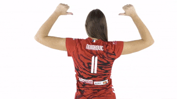aspttmulhousevolley volleyball aspttmulhousevolley aspttmvb GIF