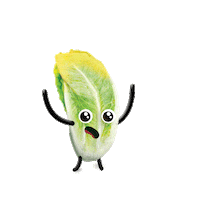 KlarsteinSlovensko fruit kitchen avocado carrot Sticker