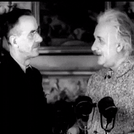 albert einstein GIF