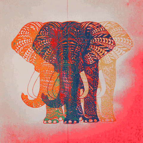 vintage elephant GIF
