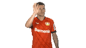 Bayer 04 Hello Sticker by Bundesliga