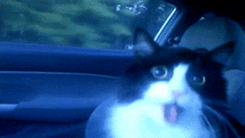 car subaru GIF