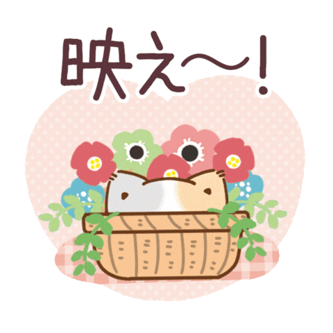 TOKUDOME_illust giphyupload かわいい 猫 三毛猫 Sticker