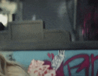 Bruises GIF by Reneé Rapp