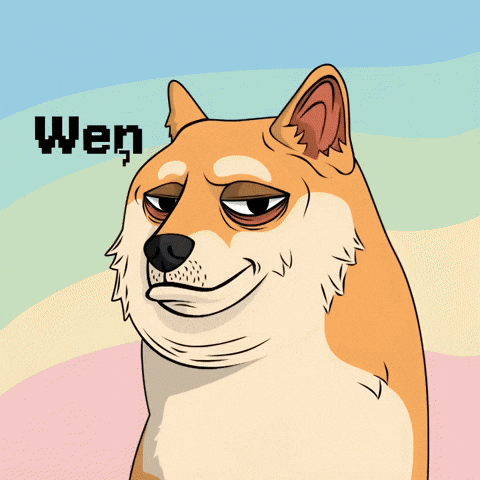 Shiba Inu Dog GIF by Doge Pound