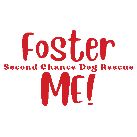 Rescue Dog Sticker by Second Chance Dog Rescue