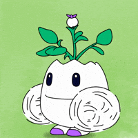 Happy Ok Good GIF by Magic Eden