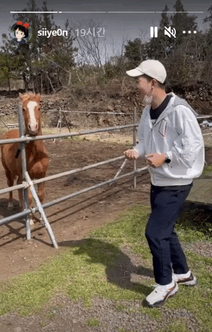 jseinyyi giphyupload GIF