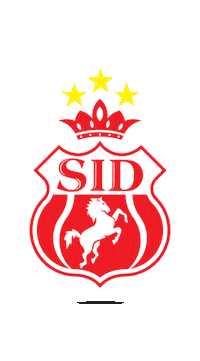 Copa Do Nordeste Futebol Sticker by TV Jornal Interior