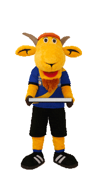 Entra Copa Do Nordeste Sticker by TV Jornal Interior