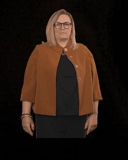 fdpfraktionlsa giphyupload fdplsa fdpfraktionlsa ktarricone GIF