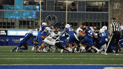 College Football Ncaa GIF by Cincinnati Bearcats