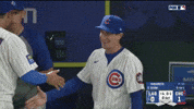 Tokyo Dome Mlb GIF by TheDreamTeam 