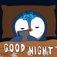 Good Night Sleeping GIF by Pengu Asia
