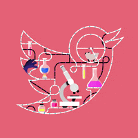 Animation Test GIF by Bullpen