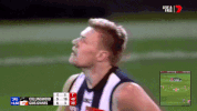 footy celebrations GIF by AFL