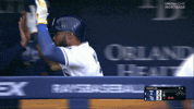 High Five Home Run GIF by MLB