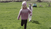 Horse Friendship GIF