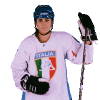 federazioneghiaccio hockey ice wintersport sportinvernali Sticker