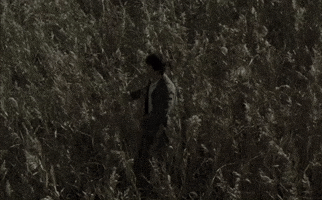 Searching