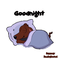 Good Night Sleeping Sticker by VeeFriends