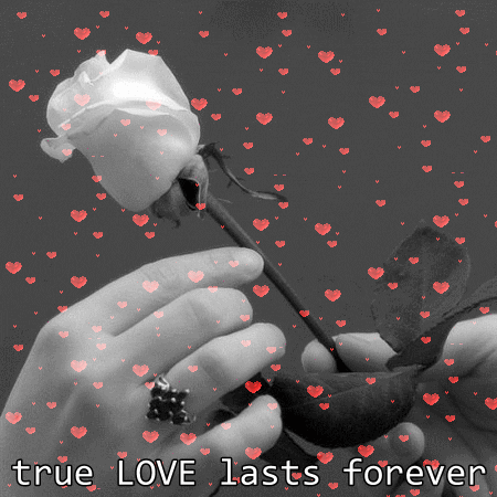true love GIF