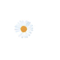 New Year Sticker