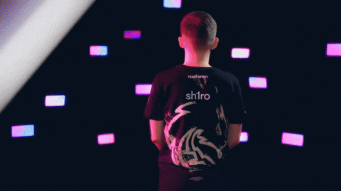 Team Spirit GIF by BLAST