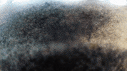 Film Art GIF by jorgemariozuleta