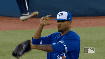 major league baseball sport GIF by MLB