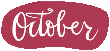 Celebrate Happy Birthday Sticker