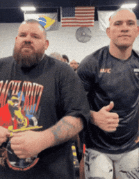 Alex Pereira Ufc GIF