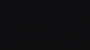 zeebaoficial zeeba tudo que importa zeeba tudo que importa GIF