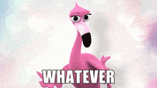 Moving On Whatever GIF by orientaltrading