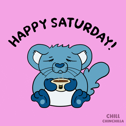 Happy Saturday Morning GIF by VeeFriends