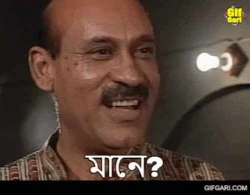 BengalBeats giphyupload GIF