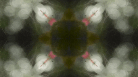 Art Love GIF by jorgemariozuleta