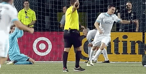 dawgfan89 giphyupload GIF