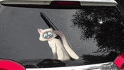 cat waving GIF by WiperTags