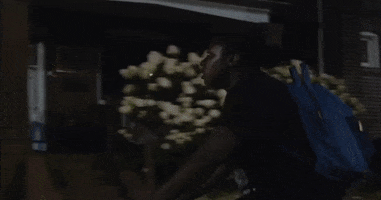 Canada Toronto GIF by TIFF