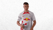 Red Bull Win GIF by RB Leipzig