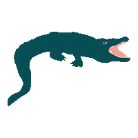 inthedeep australia crocodile straya snappy Sticker