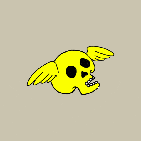 complejoconejo glitch skull death mementomori GIF