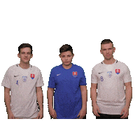 Malyfutbal Sticker by Slovenský zväz malého futbalu